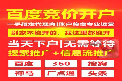 SEM优化策略：案例解读成功之道